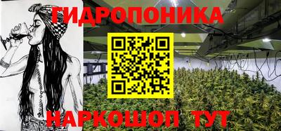 Альфа ПВП Тверь